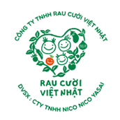 cửa hàng rau củ hữu cơ sạch không hóa chất