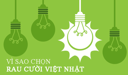 cửa hàng rau củ hữu cơ không hóa chất