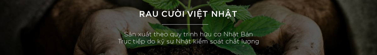 Hỗ trợ đặt hàng