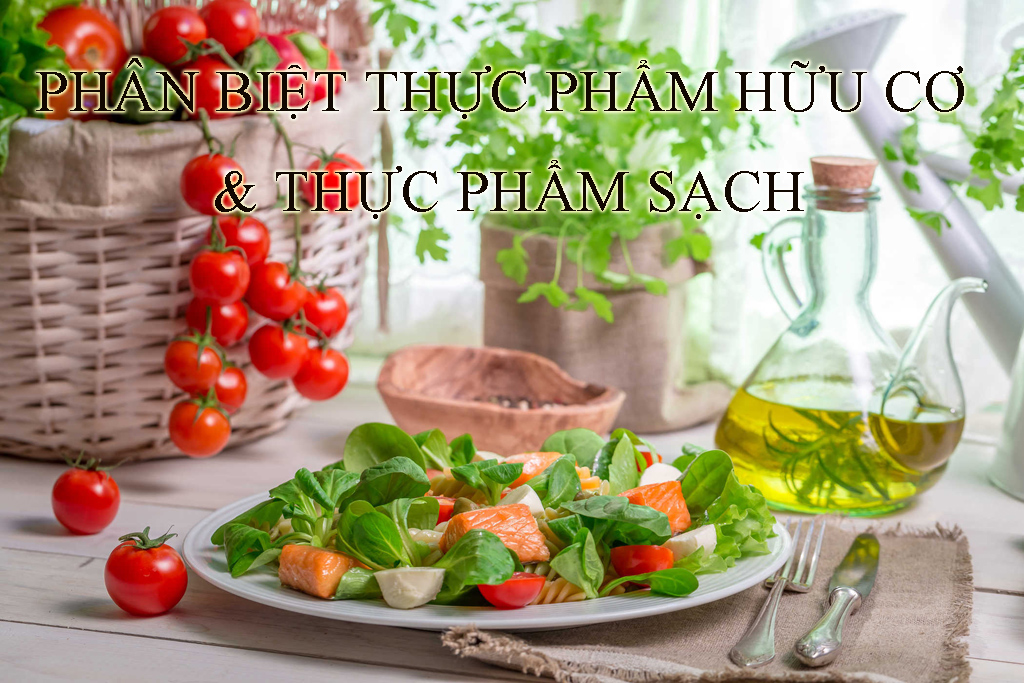 Phân biệt Thực phẩm hữu cơ và Thực phẩm sạch